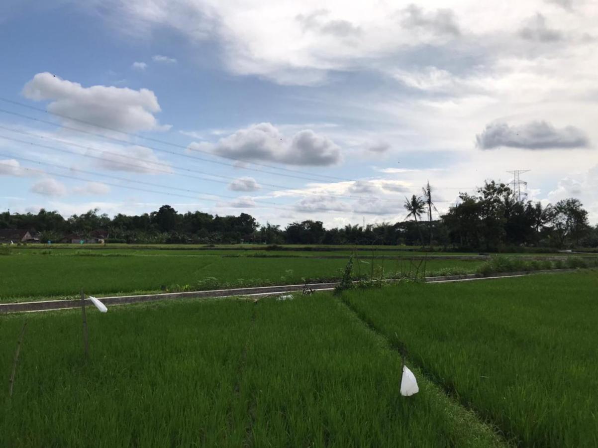 Legiyem Homestay ยอกยาการ์ตา ภายนอก รูปภาพ